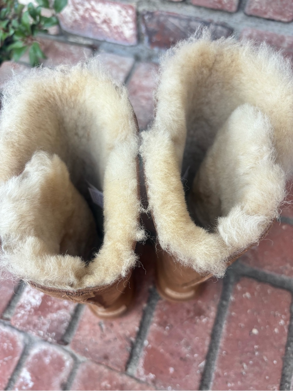 3 Button Tall Ugg Boots - Picture 5 of 6